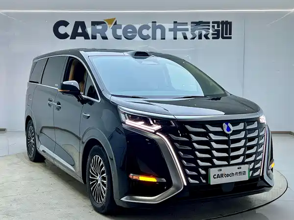 Denza D9 2025