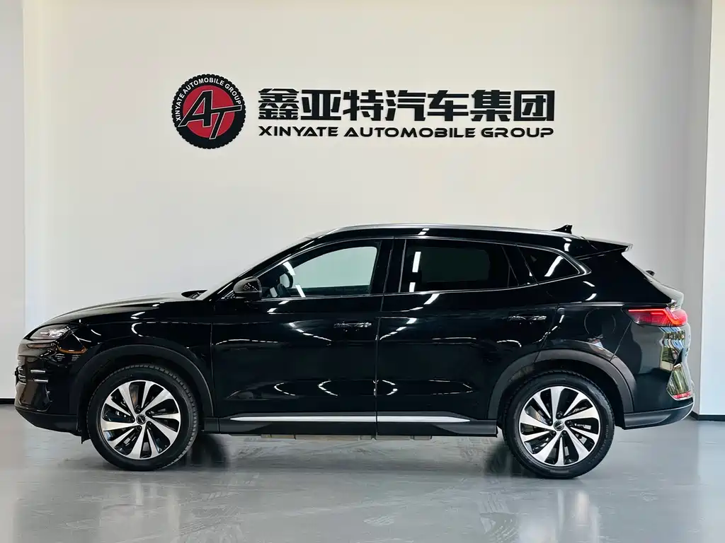 BYD PLUS New Energy 2024 — фото 3