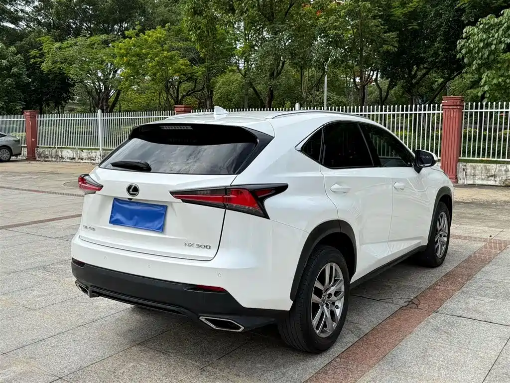Lexus NX 2018