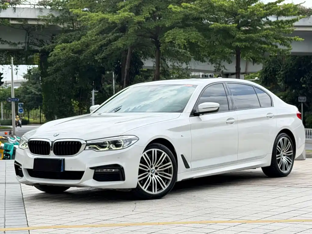 BMW 5 Series 2019