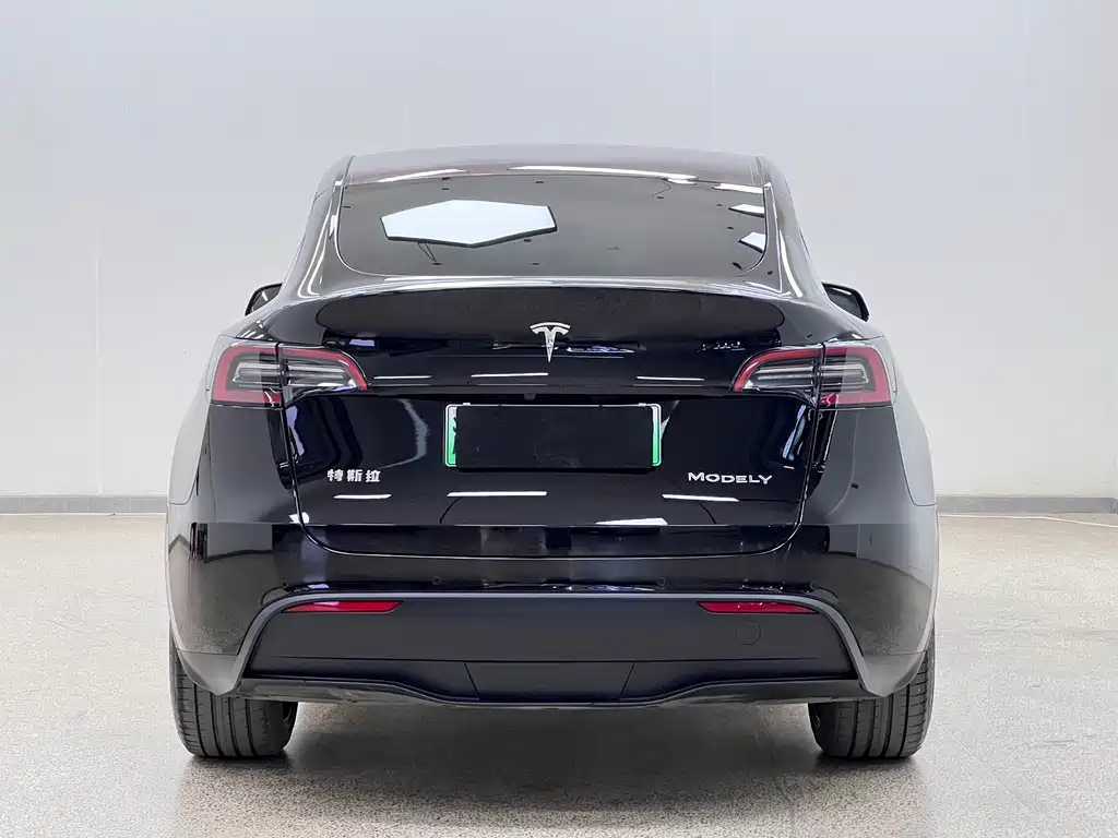 Tesla Model Y 2023 — фото 6