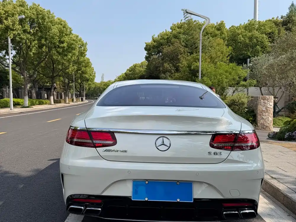 Mercedes-Benz S-Class AMG 2020 — фото 19