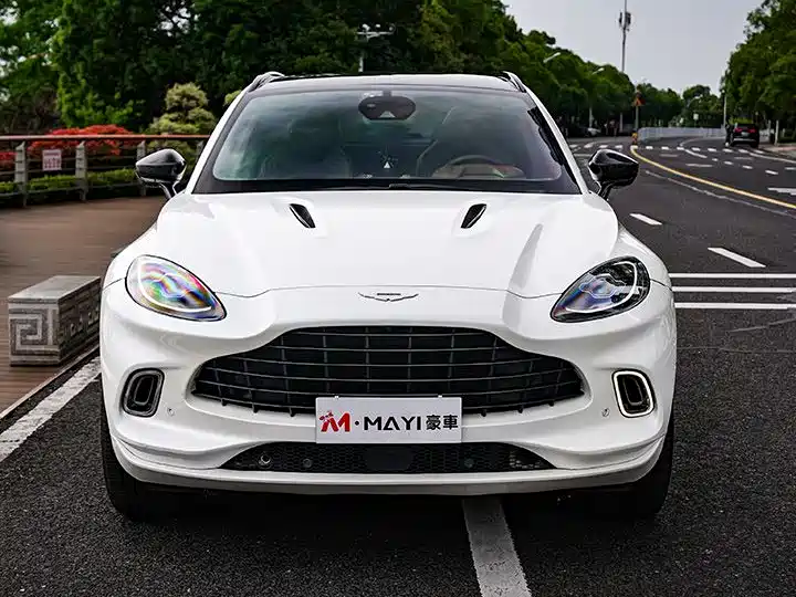 Aston Martin DBX 2020 — фото 8