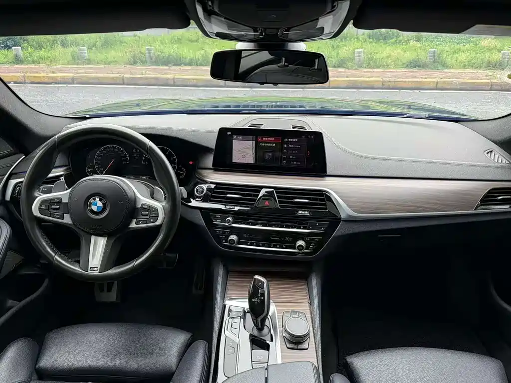 BMW 5 Series 2019