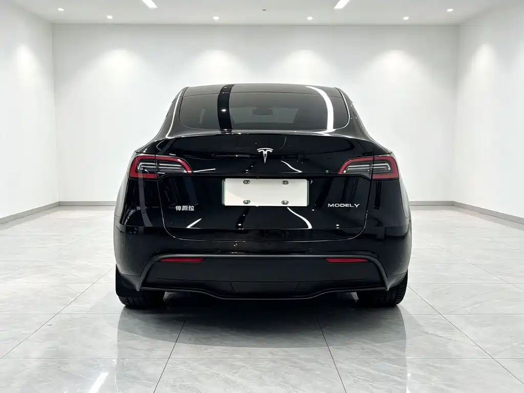 Tesla Model Y 2023 — фото 6