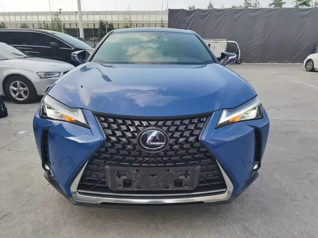 Lexus UX New Energy 2020 — фото 3