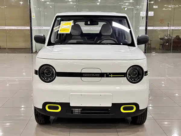 Geely Galaxy Panda 2026