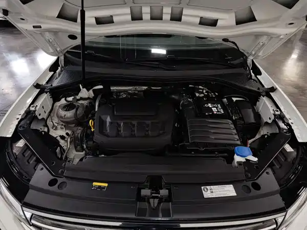 Volkswagen Tiguan L 2024