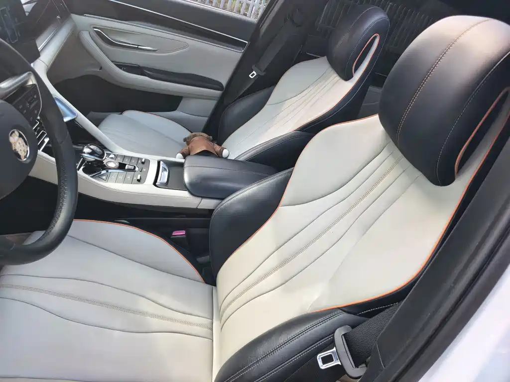 BYD Song PLUS New Energy 2022 — фото 11