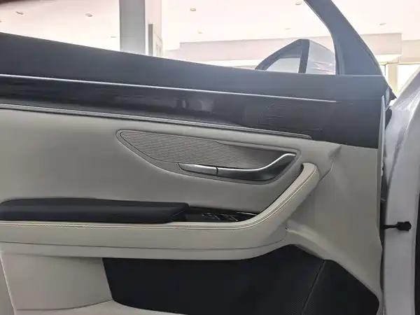 BYD Song PLUS New Energy 2022