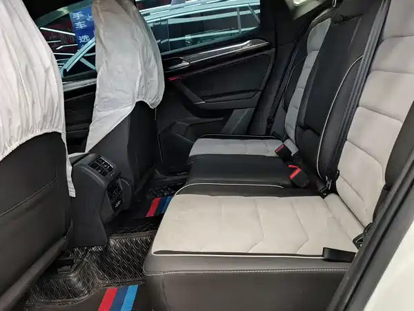 Volkswagen Tanyuex 2020