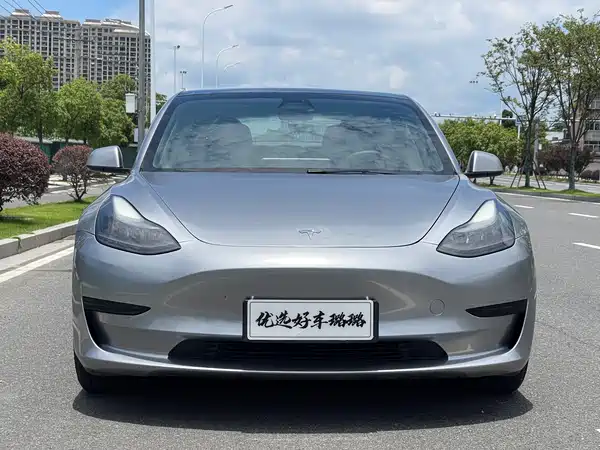 Tesla Model 3 2021