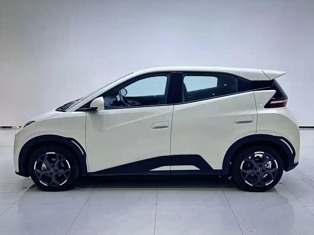 BYD Seagull 2025