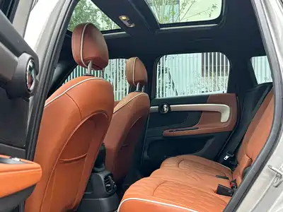 MINI MINI 2023