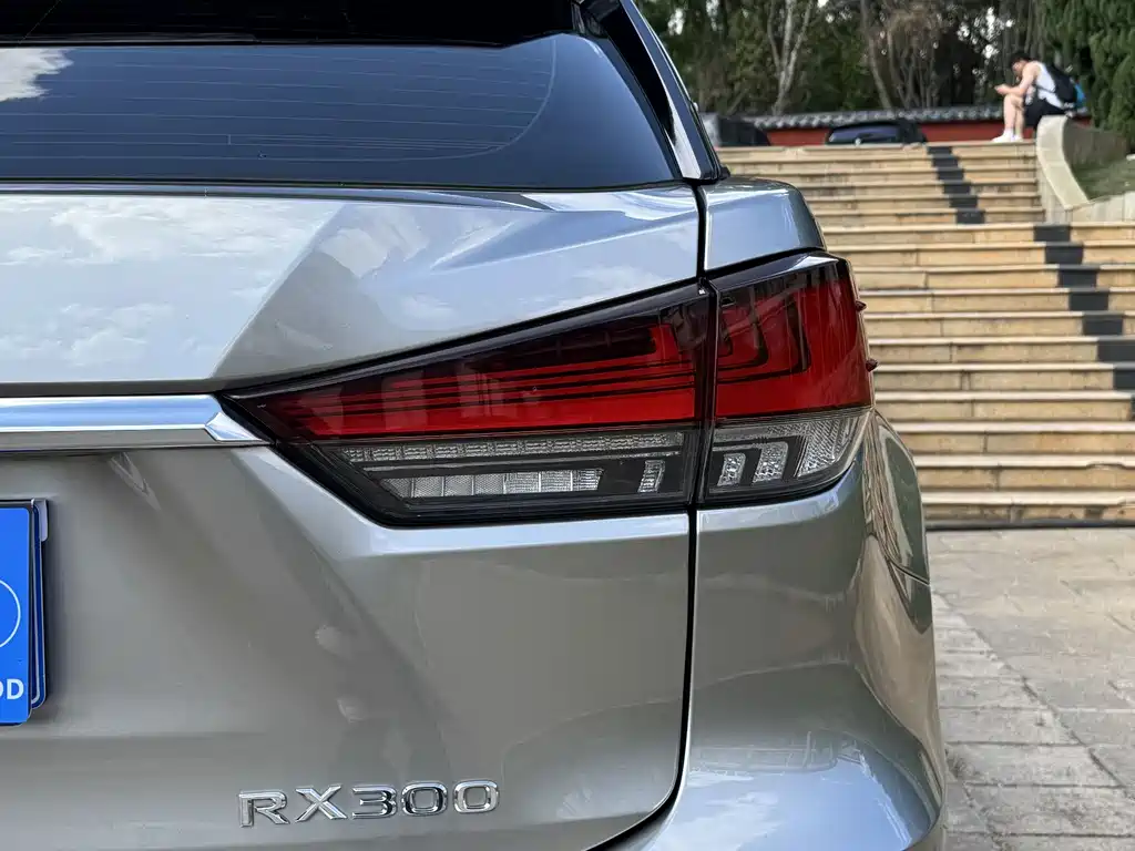 Lexus RX 2022 — фото 11