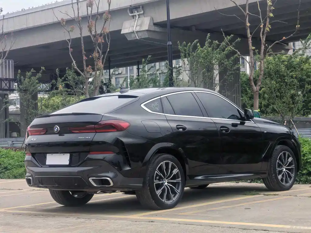BMW X6 2021 — фото 5