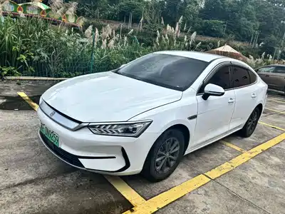 BYD Qin PLUS 2021