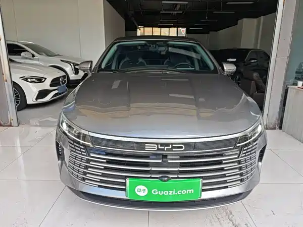 BYD Destroyer 05 2024