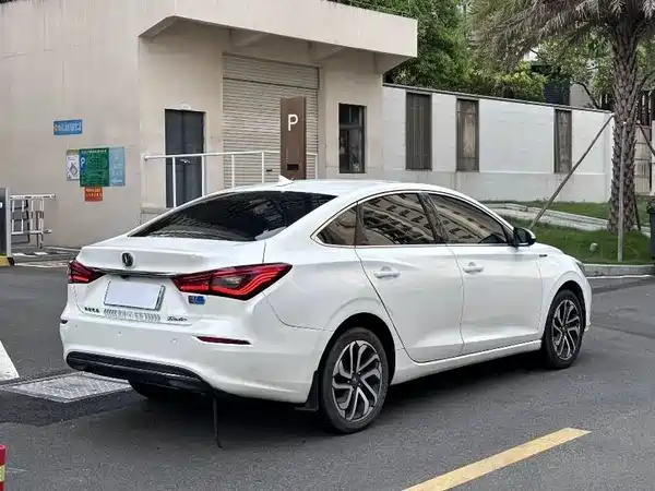 Changan Yidong New Energy 2019