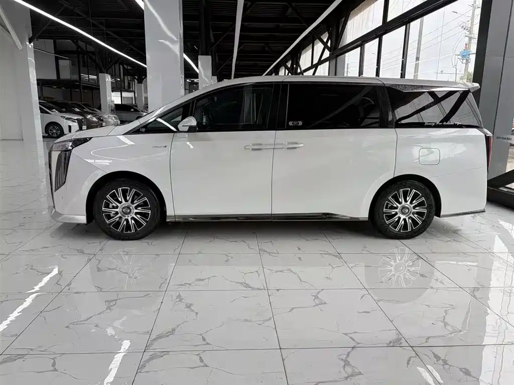 GAC Motor Trumpchi E9 2024 — фото 5