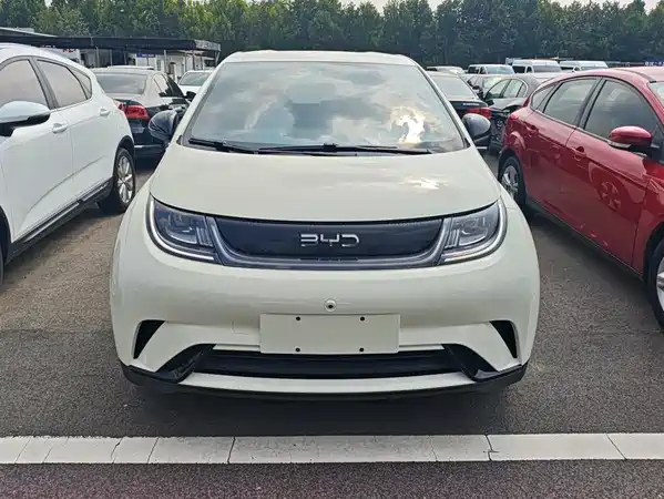 BYD Dolphin 2024