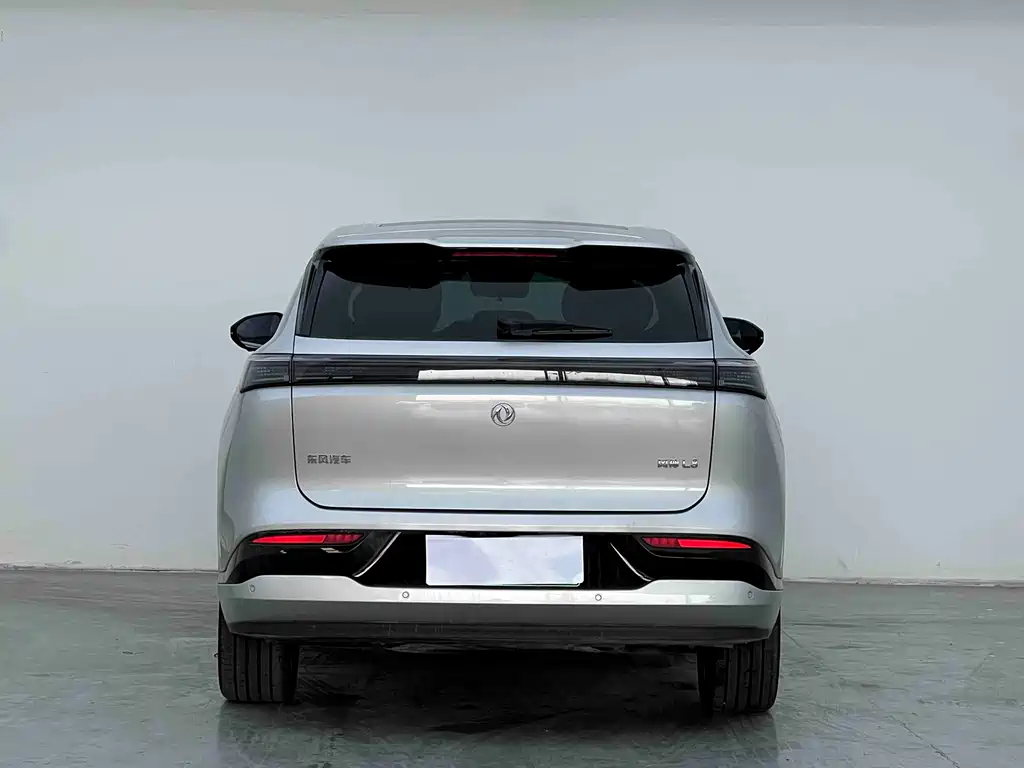 Dongfeng Fengshen L8 2025 — фото 8