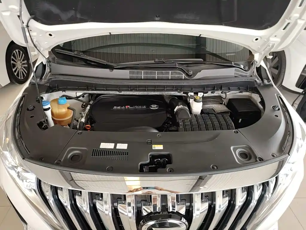 GAC Motor Trumpchi M8 2021 — фото 20