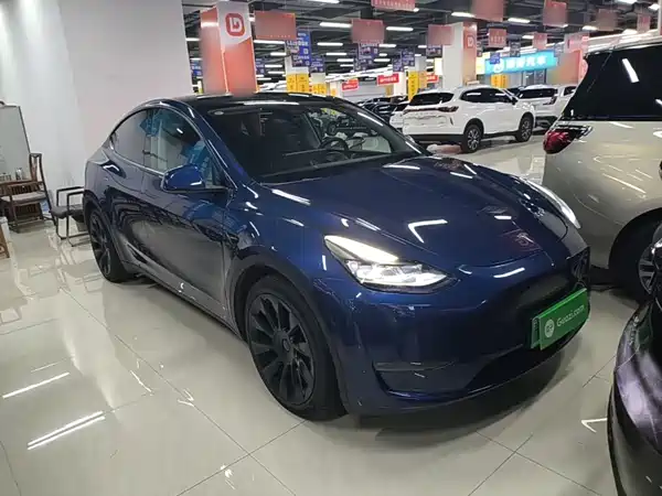 Tesla Model Y 2021