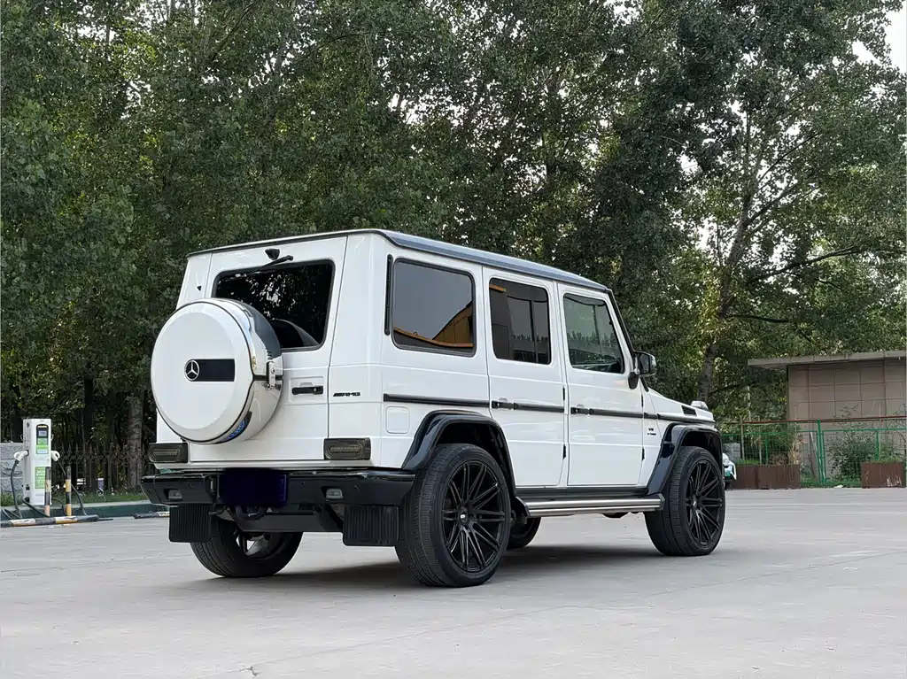 Mercedes-Benz G-Class AMG 2016 — фото 14