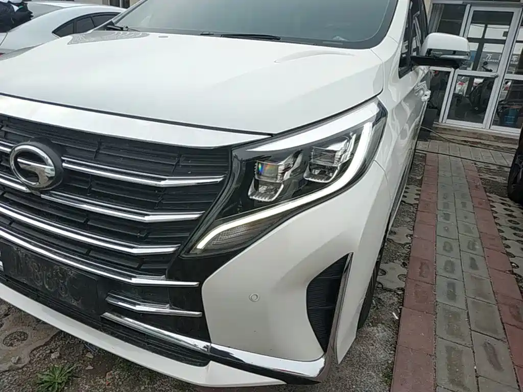 GAC Trumpchi M8 2021 — фото 18