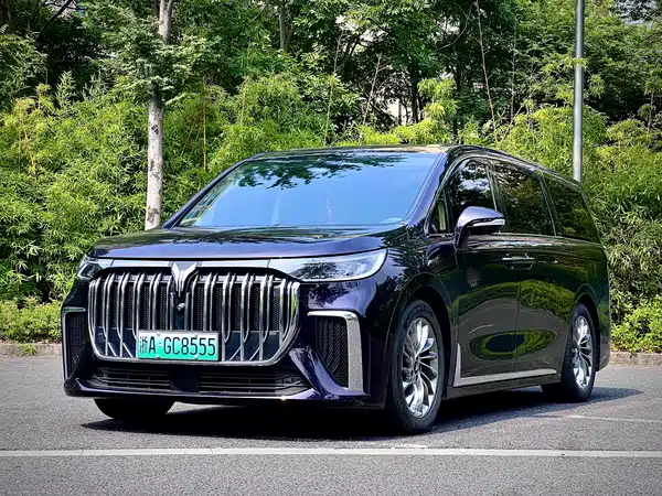Voyah Dreamer 2024