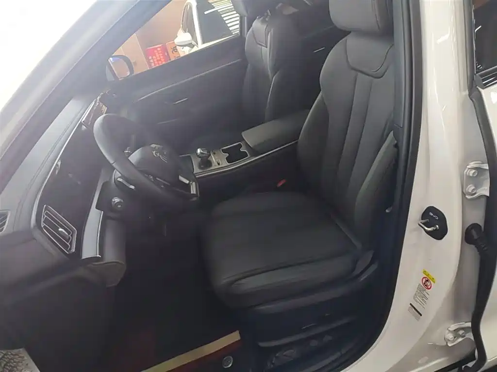 BYD Pro New Energy 2025 — фото 15