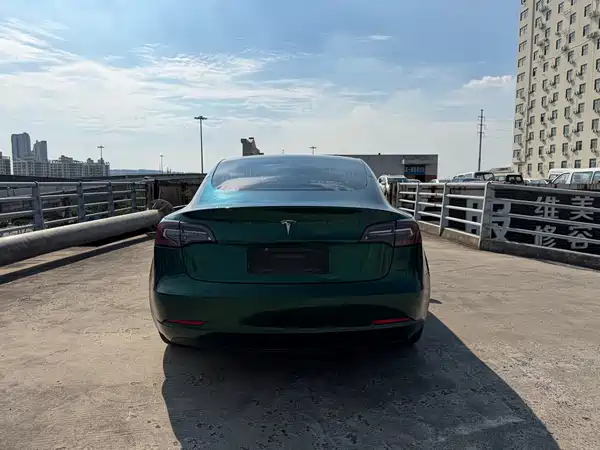 Tesla Model 3 2020