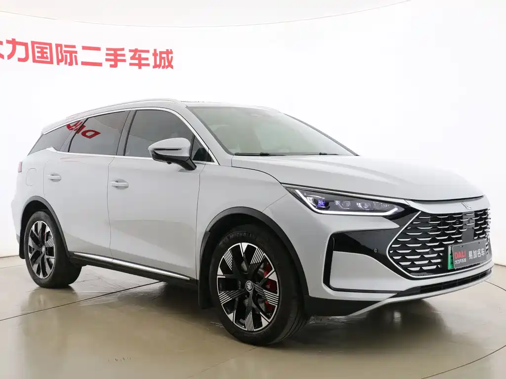 BYD Tang New Energy 2023 — фото 3
