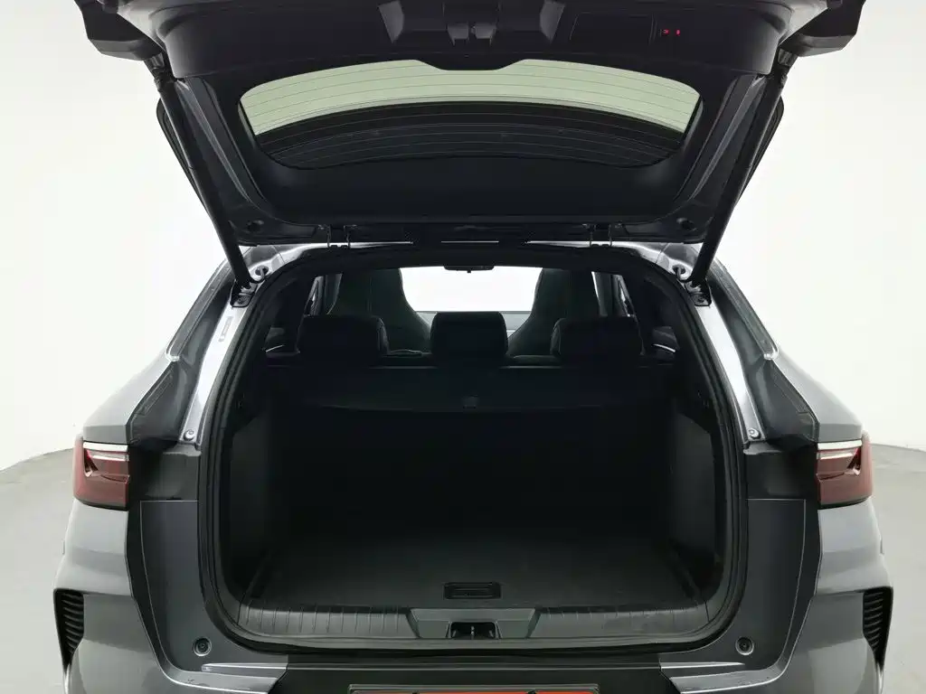 BYD Song PLUS New Energy 2022 — фото 16