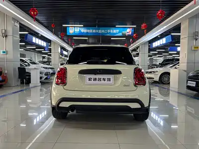 MINI MINI 2022