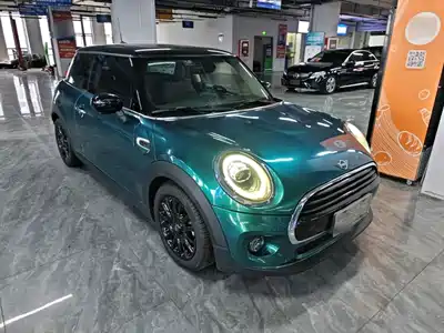 MINI MINI 2020