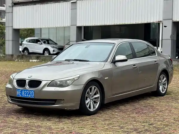 BMW 5 Series 2010