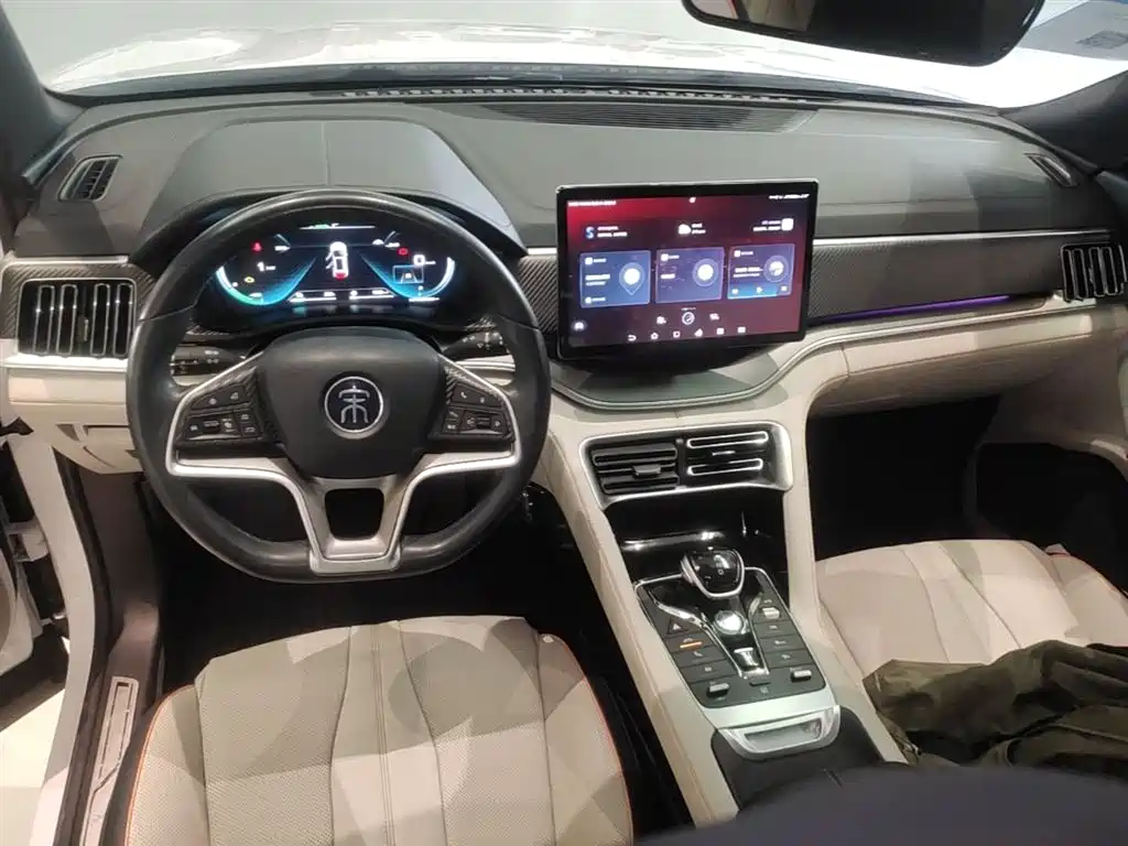 BYD PLUS New Energy 2022 — фото 10
