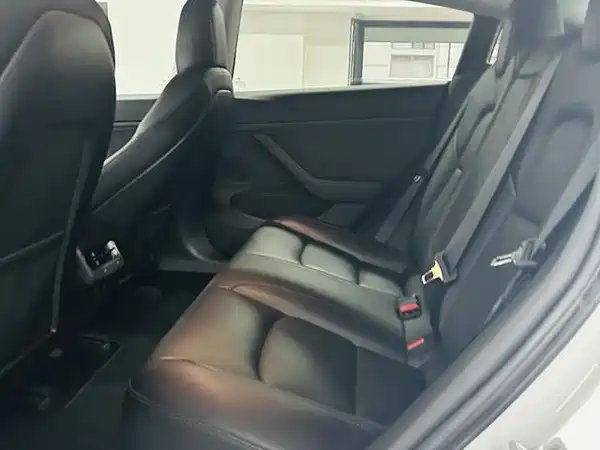 Tesla Model 3 2019