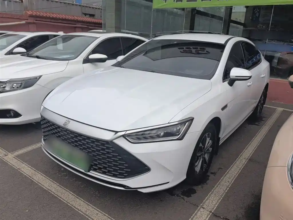 BYD Qin PLUS 2024 — фото 1