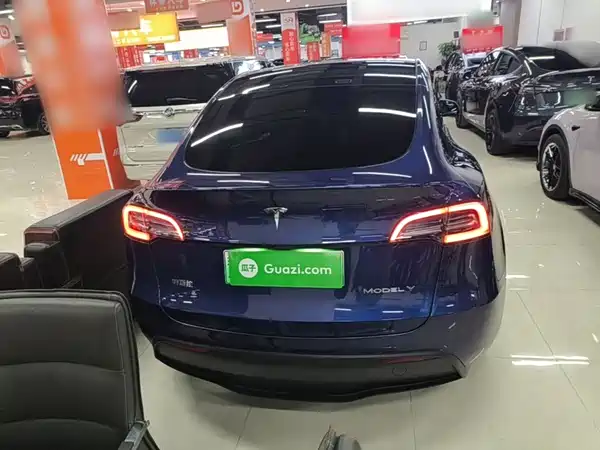 Tesla Model Y 2021