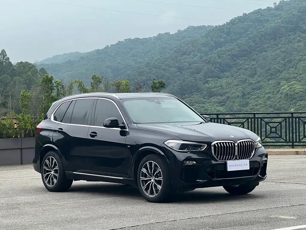 BMW X5 2019