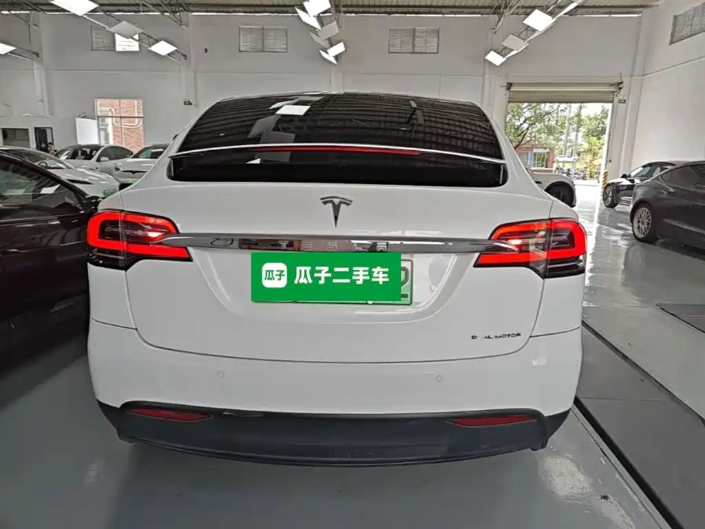 Tesla Model X 2021 — фото 6