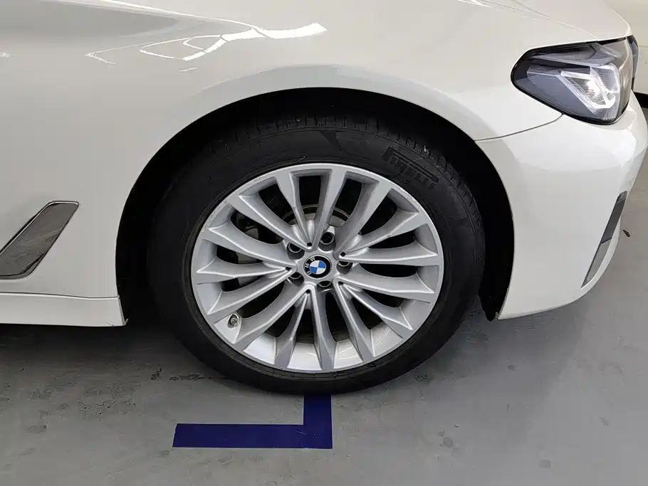 BMW 5 Series New Energy 2021