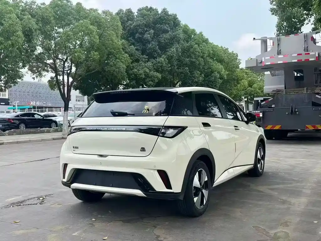 BYD Dolphin 2023 — фото 4