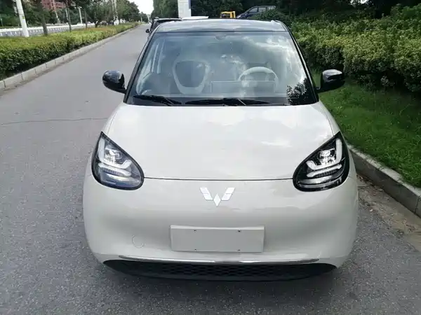 Wuling Bingo 2024