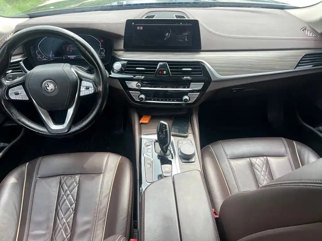 BMW 5 Series New Energy 2020