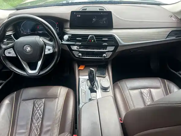 BMW 5 Series New Energy 2020