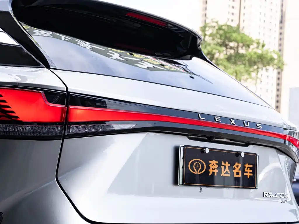 Lexus RX New Energy 2023 — фото 7